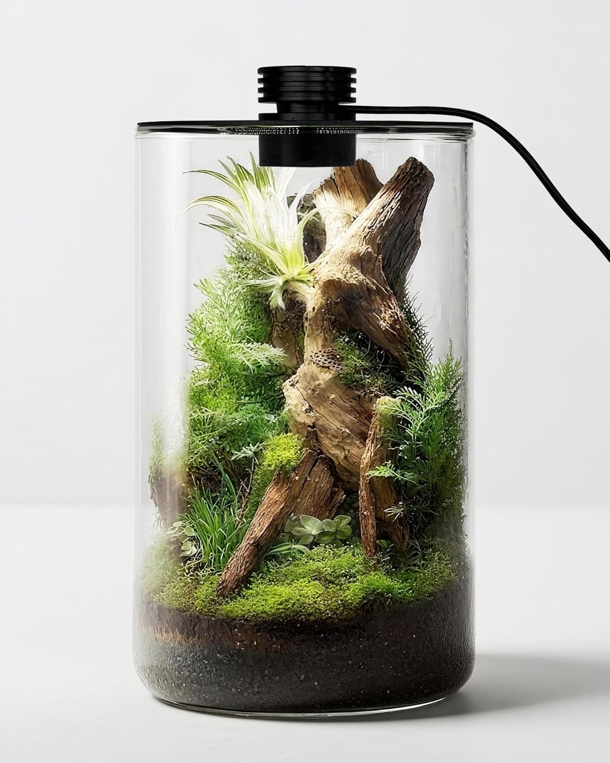 Indoor Glass Terrarium with Gr - Home Office Lamp recension och pris