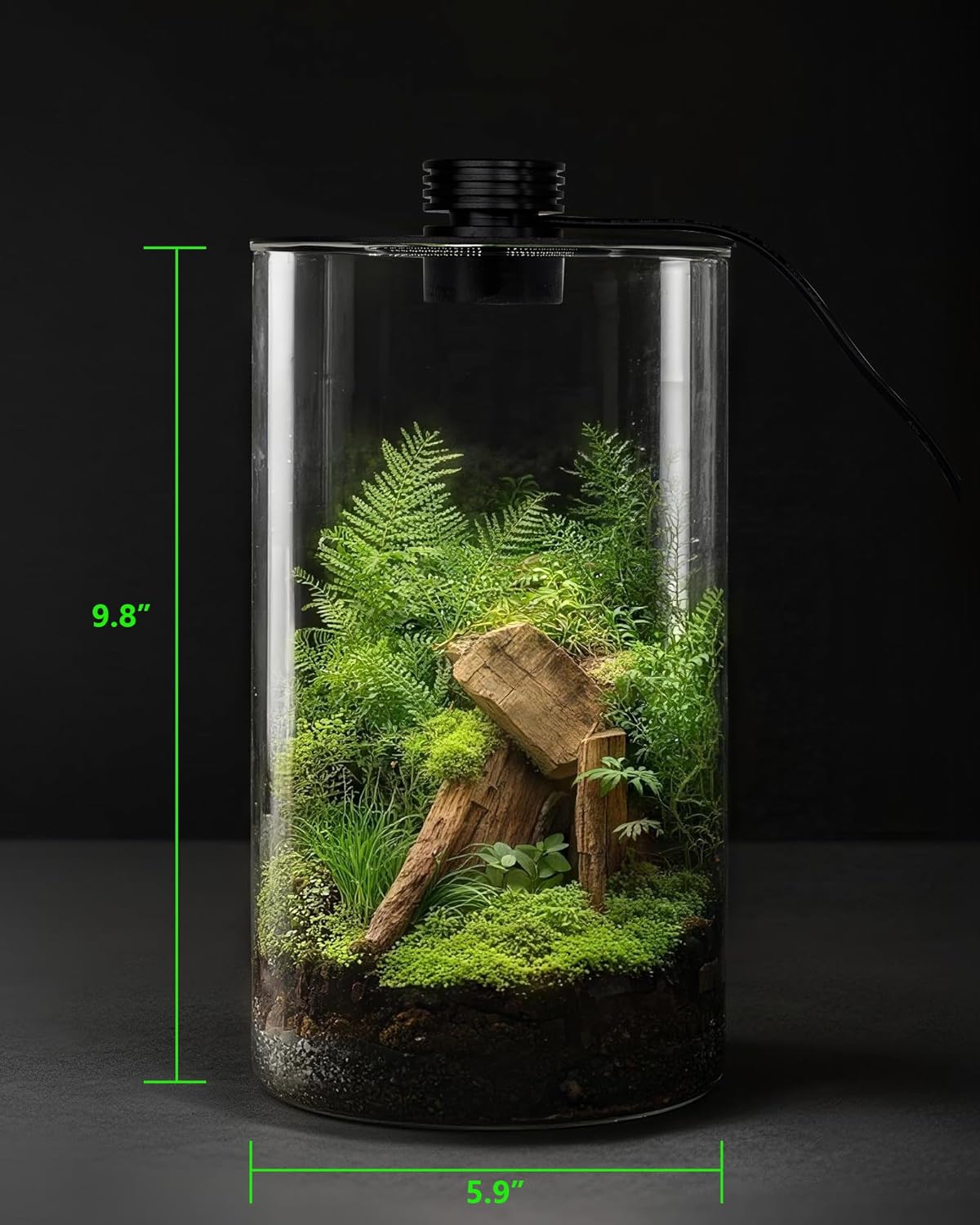 Indoor Glass Terrarium with Gr - Home Office Lamp recension och pris