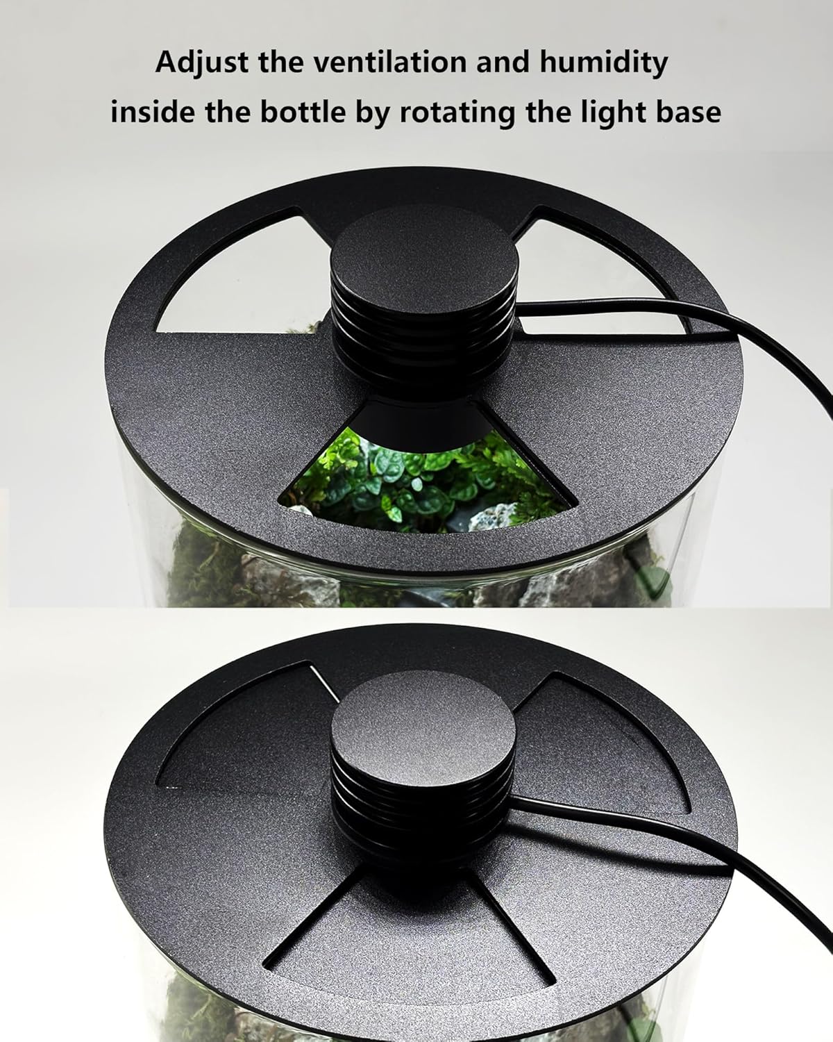 Indoor Glass Terrarium with Gr - Home Office Lamp recension och pris